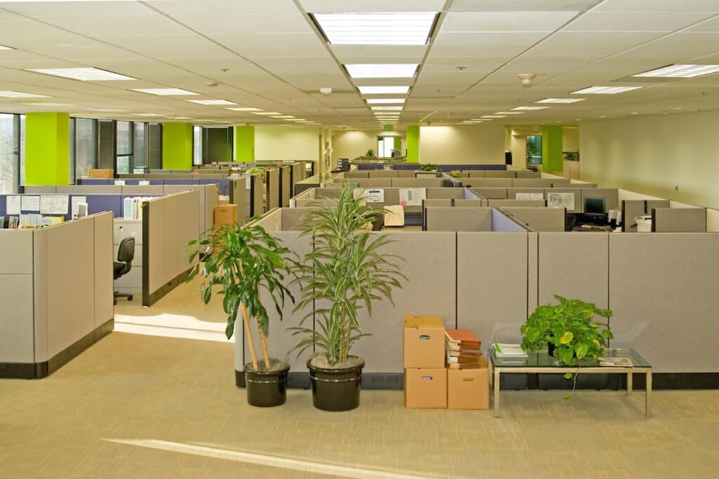Cubicle office